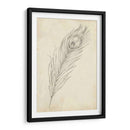 Bosquejo De Plumas De Pavo Real Ii - Ethan Harper | Cuadro decorativo de Canvas Lab