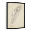 Bosquejo De Plumas De Pavo Real Ii - Ethan Harper | Cuadro decorativo de Canvas Lab