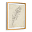Bosquejo De Plumas De Pavo Real Ii - Ethan Harper | Cuadro decorativo de Canvas Lab