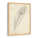 Bosquejo De Plumas De Pavo Real Ii - Ethan Harper | Cuadro decorativo de Canvas Lab