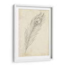 Bosquejo De Plumas De Pavo Real Ii - Ethan Harper | Cuadro decorativo de Canvas Lab