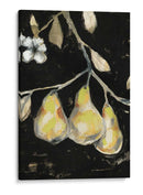 Peras Frescas I - Jennifer Goldberger | Cuadro decorativo de Canvas Lab