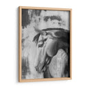 Gris Dappled I - Naomi McCavitt | Cuadro decorativo de Canvas Lab