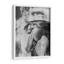 Gris Dappled I - Naomi McCavitt | Cuadro decorativo de Canvas Lab