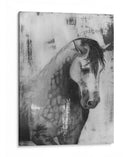 Moteado Gris Ii - Naomi McCavitt | Cuadro decorativo de Canvas Lab