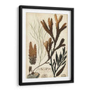 Turpin Seaweed I - Turpin | Cuadro decorativo de Canvas Lab