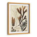 Turpin Seaweed I - Turpin | Cuadro decorativo de Canvas Lab
