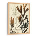 Turpin Seaweed I - Turpin | Cuadro decorativo de Canvas Lab