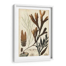 Turpin Seaweed I - Turpin | Cuadro decorativo de Canvas Lab