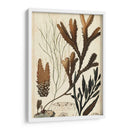 Turpin Seaweed I - Turpin | Cuadro decorativo de Canvas Lab