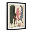 Turpin Seaweed Ii - Turpin | Cuadro decorativo de Canvas Lab