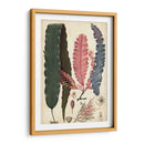 Turpin Seaweed Ii - Turpin | Cuadro decorativo de Canvas Lab