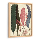 Turpin Seaweed Ii - Turpin | Cuadro decorativo de Canvas Lab