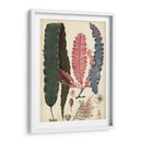 Turpin Seaweed Ii - Turpin | Cuadro decorativo de Canvas Lab