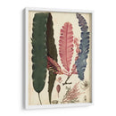 Turpin Seaweed Ii - Turpin | Cuadro decorativo de Canvas Lab