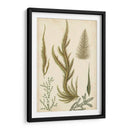 Turpin Seaweed Iv - Turpin | Cuadro decorativo de Canvas Lab