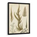 Turpin Seaweed Iv - Turpin | Cuadro decorativo de Canvas Lab