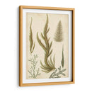 Turpin Seaweed Iv - Turpin | Cuadro decorativo de Canvas Lab