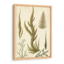 Turpin Seaweed Iv - Turpin | Cuadro decorativo de Canvas Lab