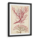Turpin Seaweed V - Turpin | Cuadro decorativo de Canvas Lab