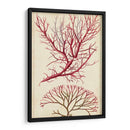 Turpin Seaweed V - Turpin | Cuadro decorativo de Canvas Lab