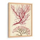 Turpin Seaweed V - Turpin | Cuadro decorativo de Canvas Lab