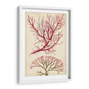 Turpin Seaweed V - Turpin | Cuadro decorativo de Canvas Lab