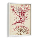 Turpin Seaweed V - Turpin | Cuadro decorativo de Canvas Lab