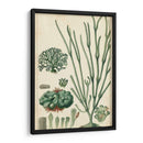 Curpin Seaweed Vi - Turpin | Cuadro decorativo de Canvas Lab