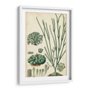 Curpin Seaweed Vi - Turpin | Cuadro decorativo de Canvas Lab