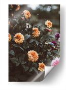 Las flores de mi abuela | Cuadro decorativo de Canvas Lab