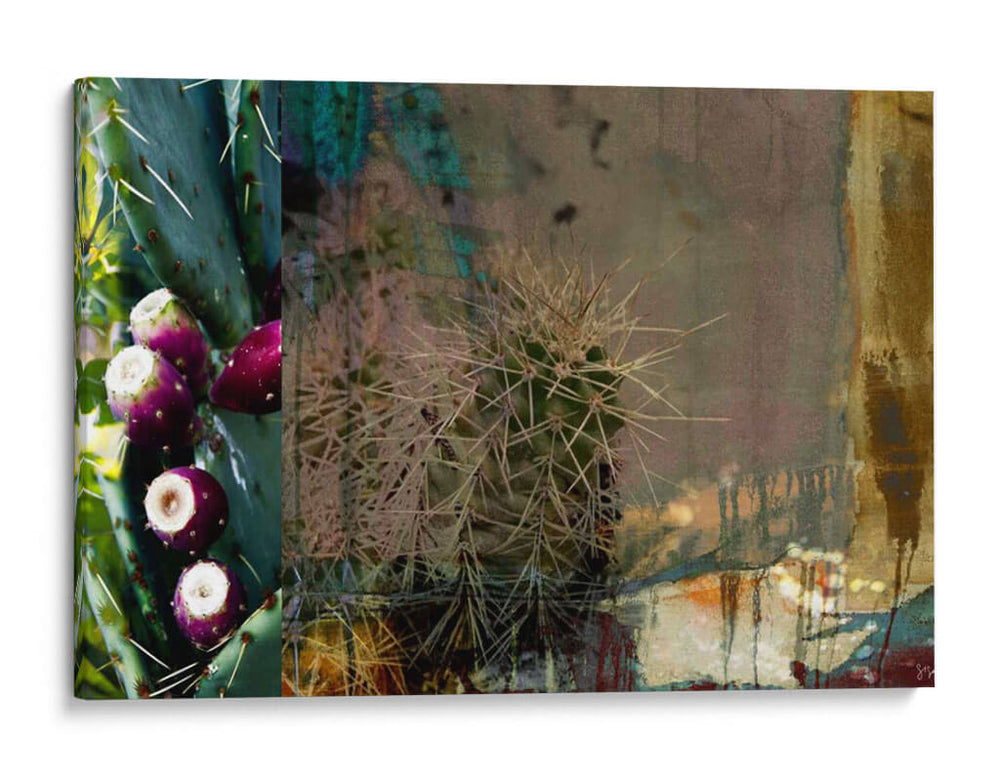 Collage De Cactus De Texas - Sisa Jasper | Cuadro decorativo de Canvas Lab