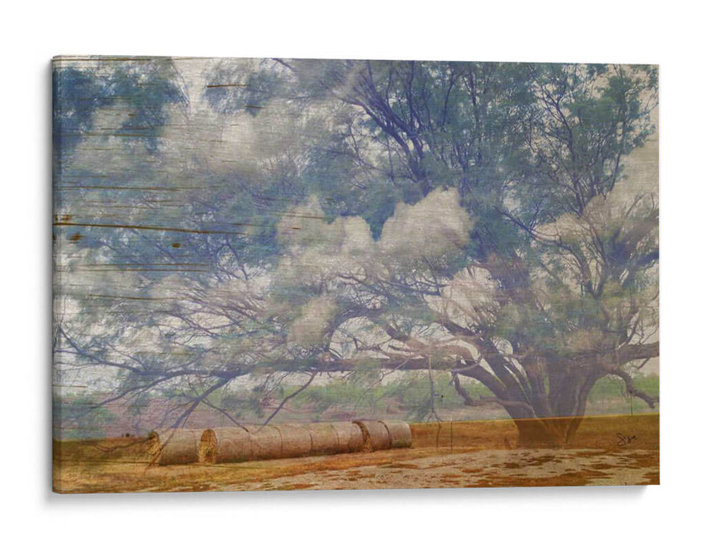 Collage De Árbol De Texas - Sisa Jasper | Cuadro decorativo de Canvas Lab