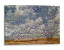Collage De Árbol De Texas - Sisa Jasper | Cuadro decorativo de Canvas Lab