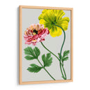 Variedades De Jardín Vintage I - Vision Studio | Cuadro decorativo de Canvas Lab
