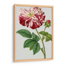 Variedades De Jardín Vintage Ii - Vision Studio | Cuadro decorativo de Canvas Lab