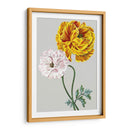 Variedades De Jardín Vintage Iii - Vision Studio | Cuadro decorativo de Canvas Lab