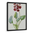 Variedades De Jardín Vintage Vi - Vision Studio | Cuadro decorativo de Canvas Lab