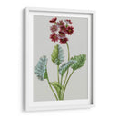Variedades De Jardín Vintage Vi - Vision Studio | Cuadro decorativo de Canvas Lab