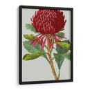 Variedades De Jardín Vintage Viii - Vision Studio | Cuadro decorativo de Canvas Lab
