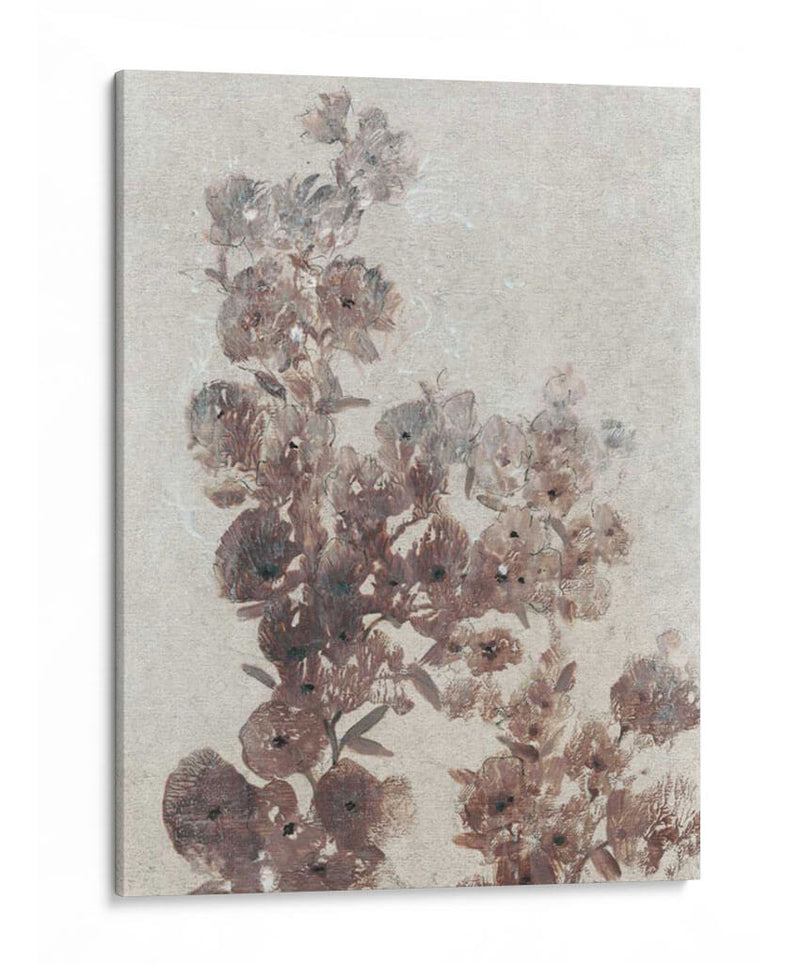 Estudio De Flores Sepia I - Tim OToole | Cuadro decorativo de Canvas Lab