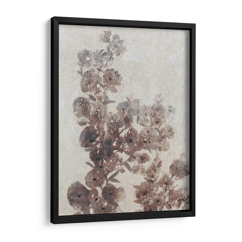 Estudio De Flores Sepia I - Tim OToole | Cuadro decorativo de Canvas Lab