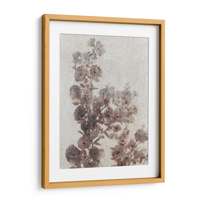 Estudio De Flores Sepia I - Tim OToole | Cuadro decorativo de Canvas Lab