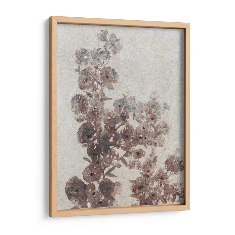 Estudio De Flores Sepia I - Tim OToole | Cuadro decorativo de Canvas Lab