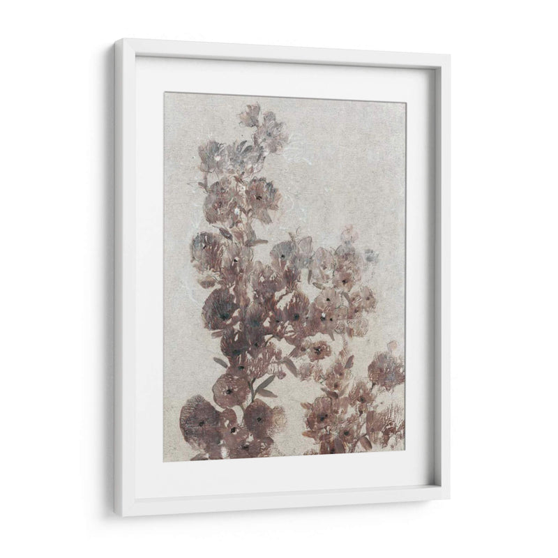 Estudio De Flores Sepia I - Tim OToole | Cuadro decorativo de Canvas Lab