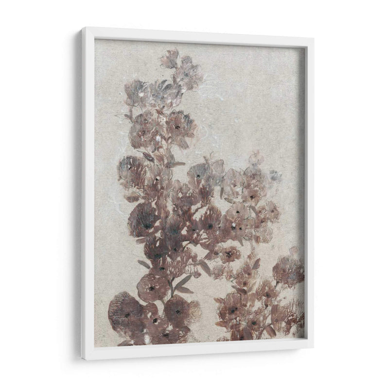 Estudio De Flores Sepia I - Tim OToole | Cuadro decorativo de Canvas Lab