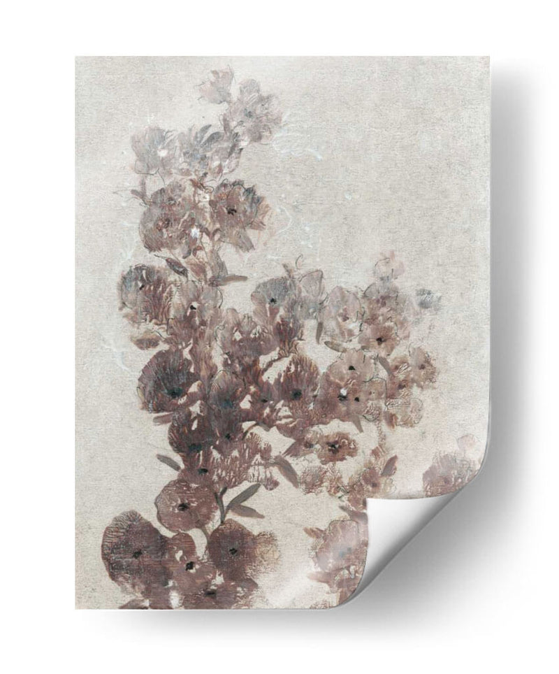 Estudio De Flores Sepia I - Tim OToole | Cuadro decorativo de Canvas Lab