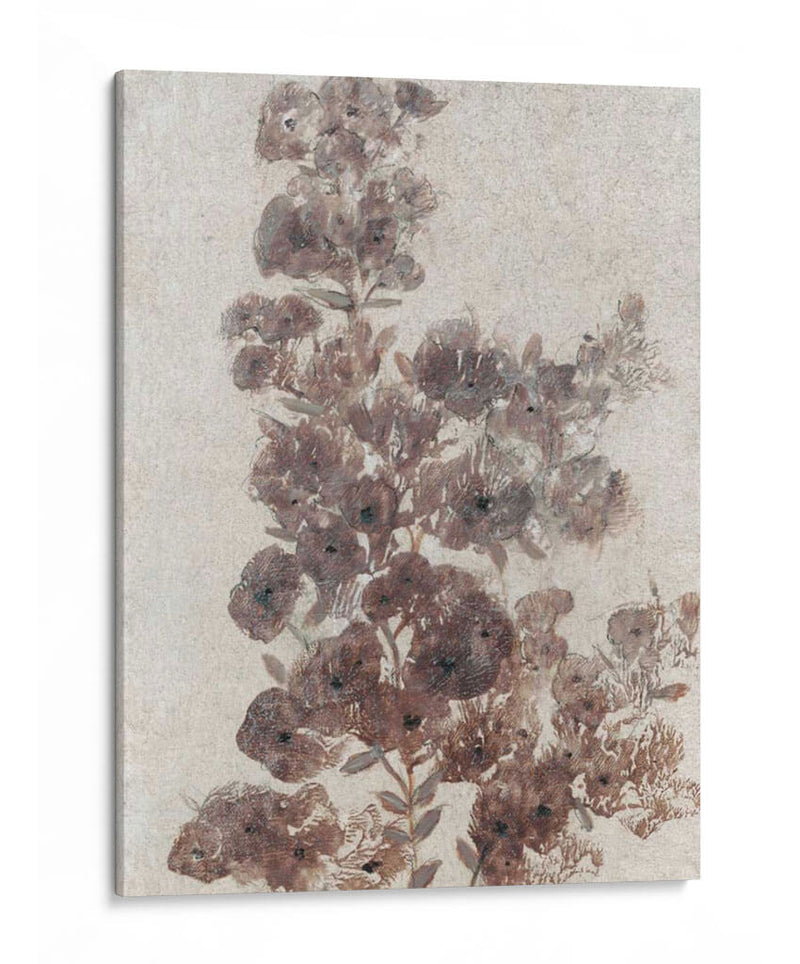 Sepia Flor Study Ii - Tim OToole | Cuadro decorativo de Canvas Lab