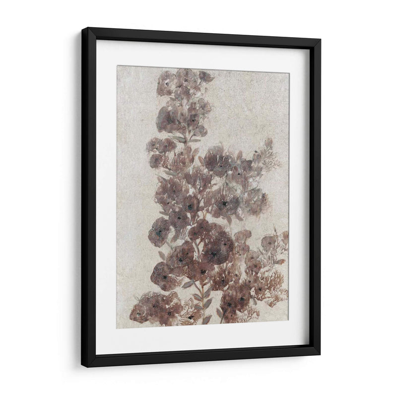 Sepia Flor Study Ii - Tim OToole | Cuadro decorativo de Canvas Lab