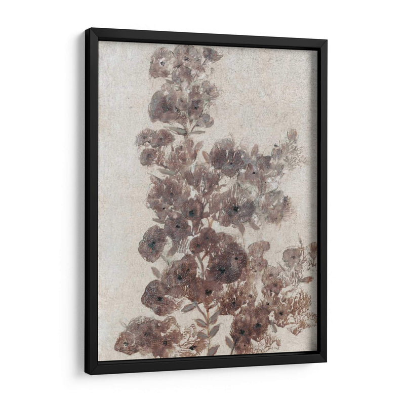 Sepia Flor Study Ii - Tim OToole | Cuadro decorativo de Canvas Lab